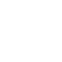 microphone icon